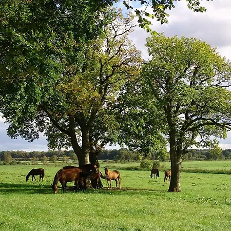 Lejlighed Wilhelmina